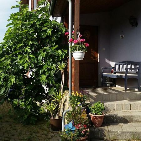 Urlaub Im Elsass Apartment Artolsheim Exterior foto